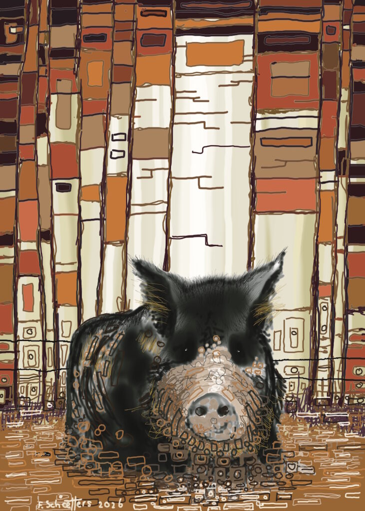 Everzwijn, digitale studie, blok-textuur