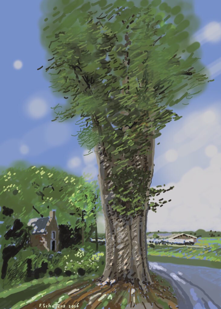 Haag-Populier, digitale studie, streep-textuur